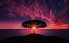 wp-lalit.myshopify.com,US