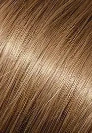 wp-lalit.myshopify.com,US