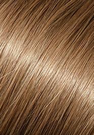 wp-lalit.myshopify.com,US