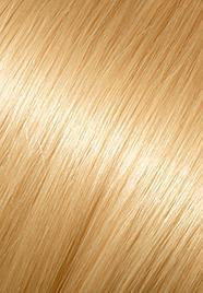 wp-lalit.myshopify.com,US