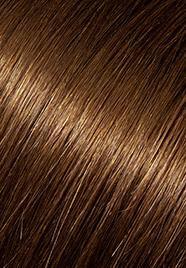 wp-lalit.myshopify.com,US