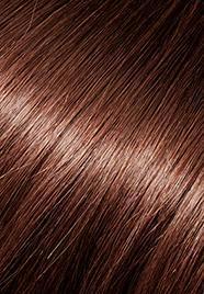 wp-lalit.myshopify.com,US