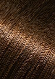 wp-lalit.myshopify.com,US