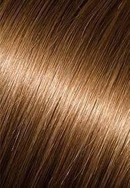 wp-lalit.myshopify.com,US